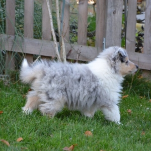 DSC_0765.JPG
