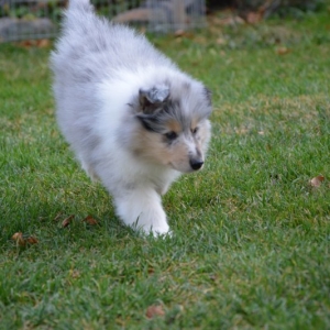 DSC_0869.JPG