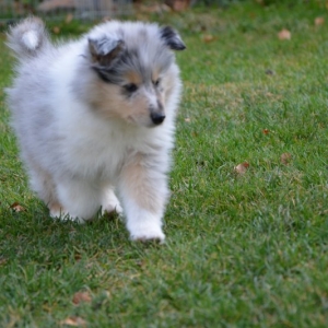 DSC_0870.JPG