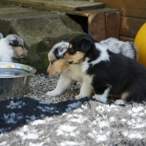 2404BE83-8739-4742-8B02-528BF5FD8F6F