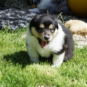 B9D772B5-59B0-44F6-BEFC-471332F999D7_1_201_a