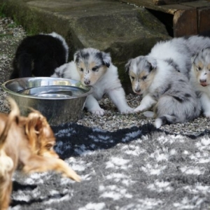 EA52F051-20D2-4687-8091-45E35513F376_1_201_a