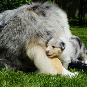 F8219BA2-41A7-4871-9B38-B46C0710C198