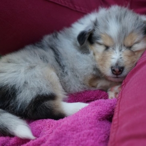 38AFD98C-892C-4AE0-9749-DF51EE50F960