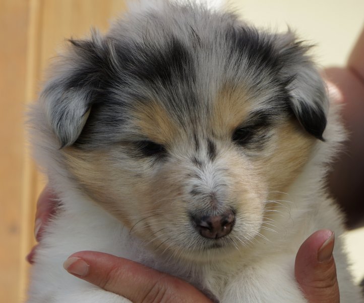 09A19C1B-5AB3-46FD-A286-04B0A636DEC2_1_201_a