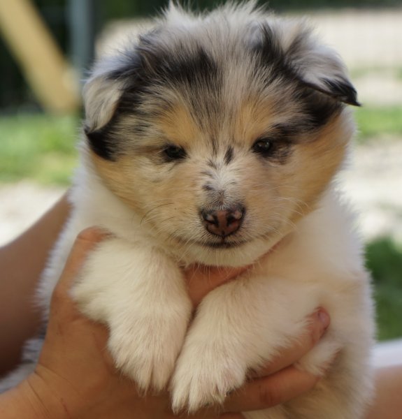 3C4AC2F9-63A1-4C40-A0AF-9C377F3DFCDE_1_201_a