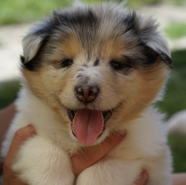 A3FFE1C4-05F3-4FD6-993A-4487A6107725_1_201_a