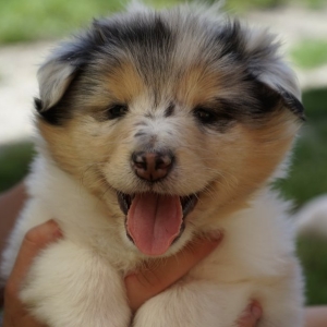 A3FFE1C4-05F3-4FD6-993A-4487A6107725_1_201_a